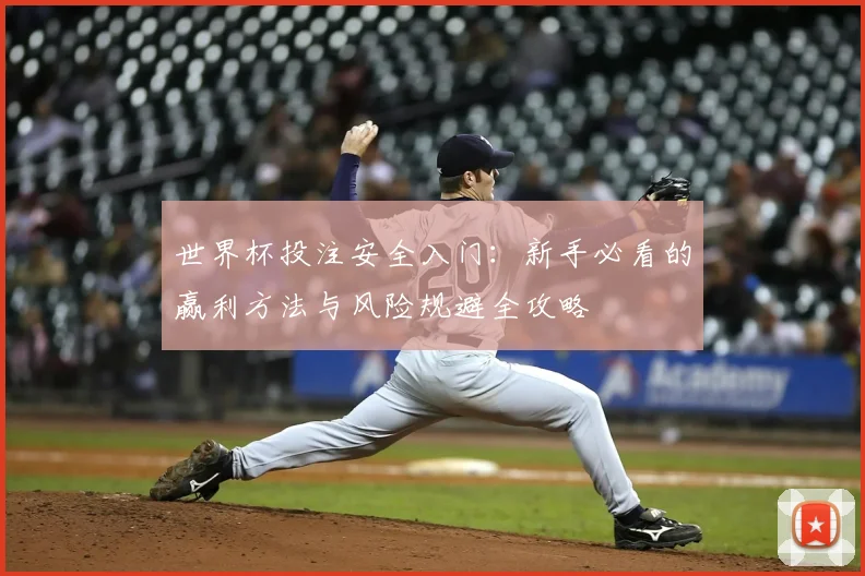 世界杯投注安全入门：新手必看的赢利方法与风险规避全攻略